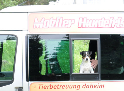 Hundetraining